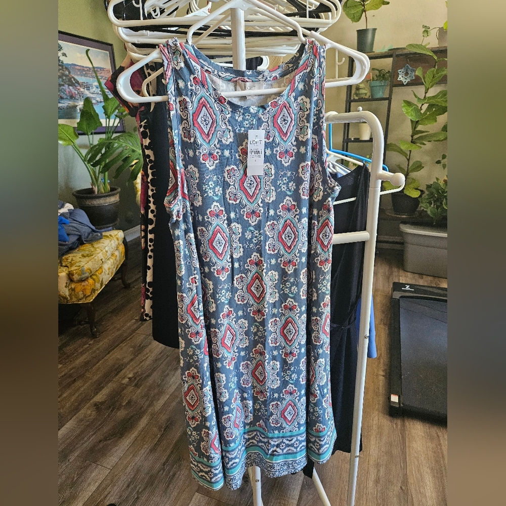 Small NWT Loft dress